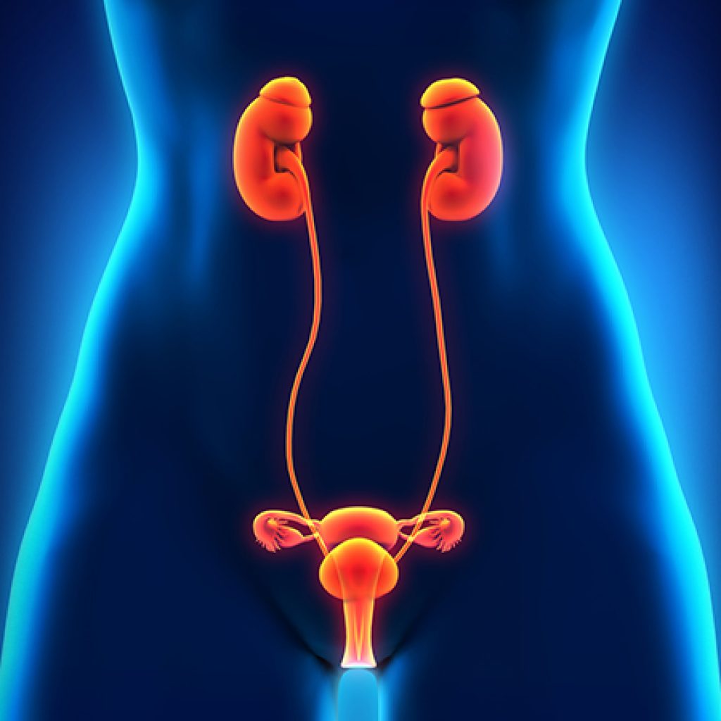 Causes-Of-Urinary-Tract-Infection-In-Women